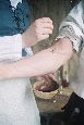 GCSE Medicine Through Time | school workshop