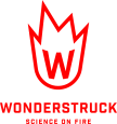 Wonderstruck Spectacular STEM Workshops & Shows | school workshop