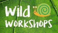 Wild workshops | school workshop