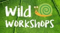 Wild workshops | school workshop